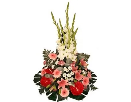 Composizioni di fiori 