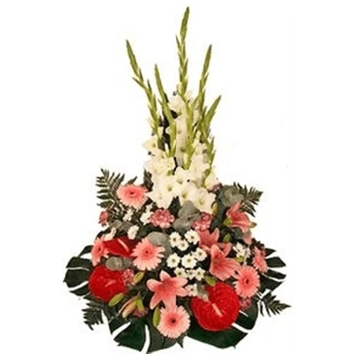 Composizioni di fiori 