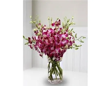 composizioni di fiori secchi-3
