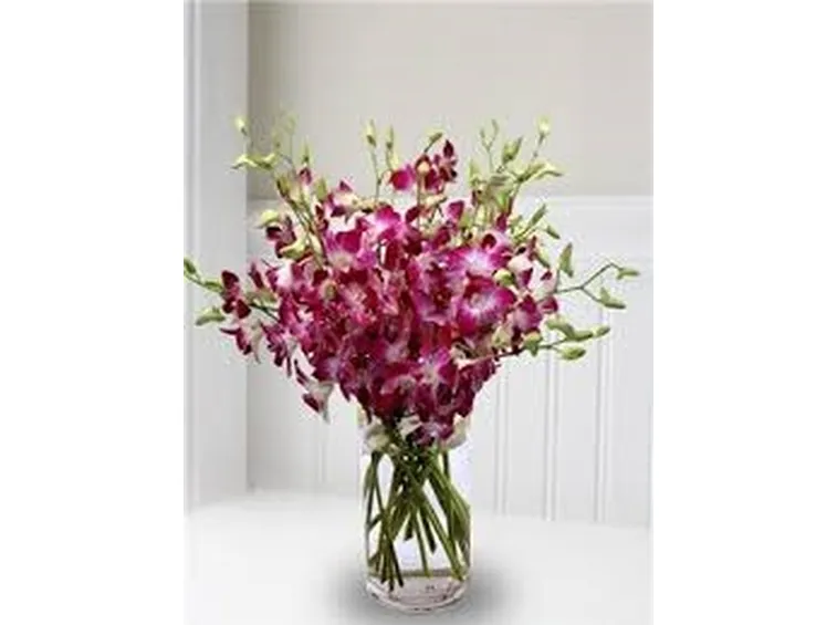 composizioni di fiori secchi-3
