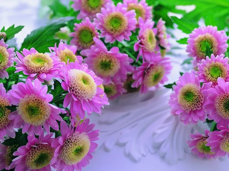 Essiccazione per scopo ornamentale