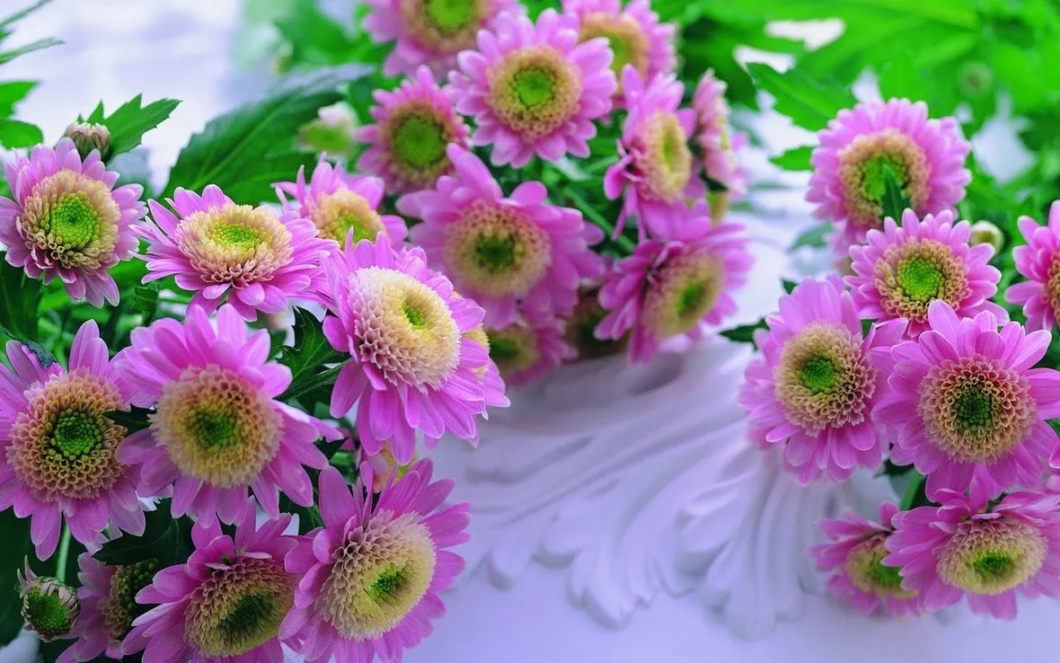 Essiccazione per scopo ornamentale
