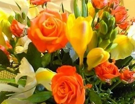 fiori compleanno-4