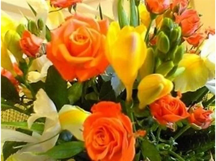 fiori compleanno-4