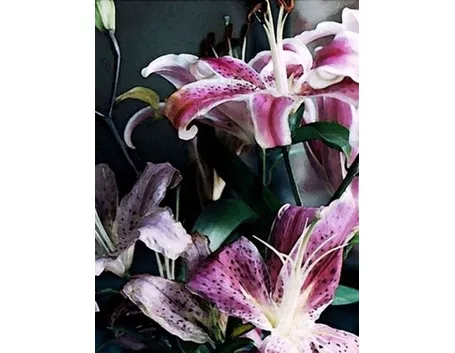 fiori cresima-4