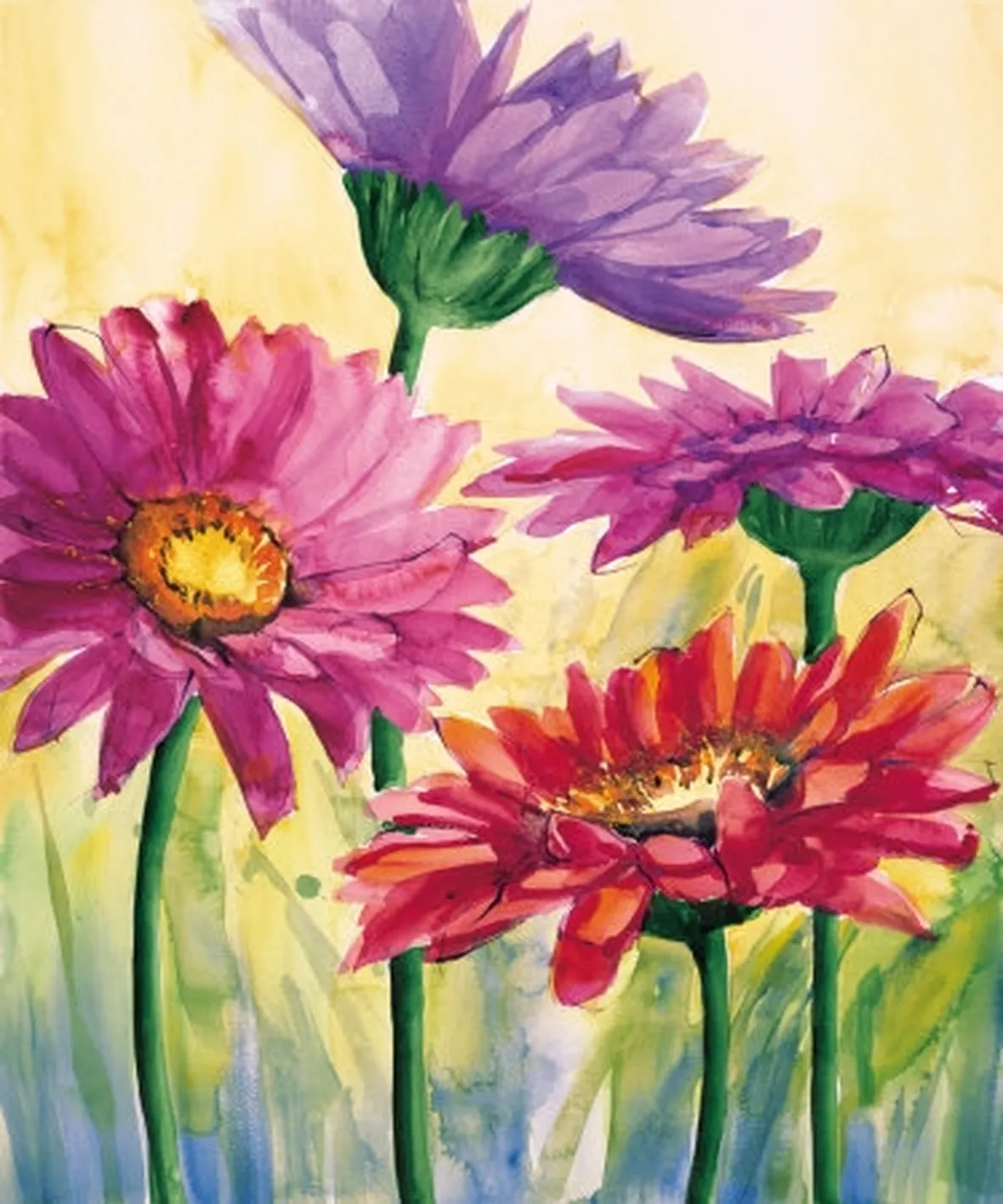 fiori diploma-3