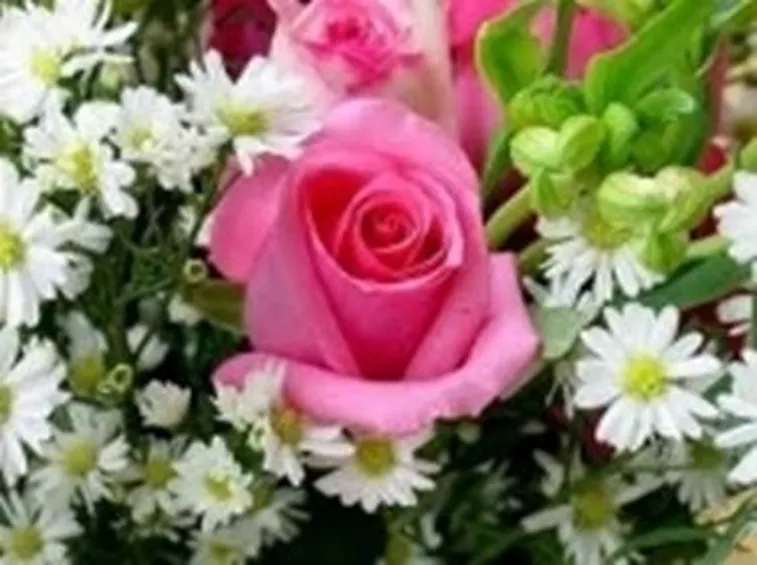 fiori diploma