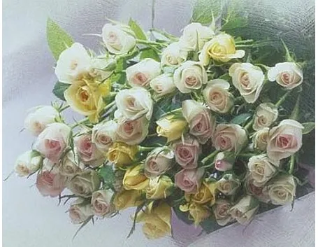 fiori festa del papà