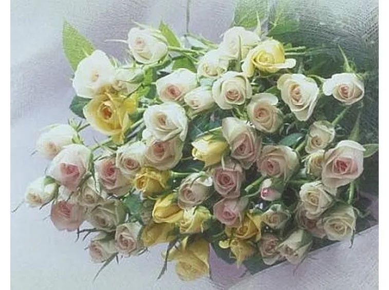 fiori festa del papà