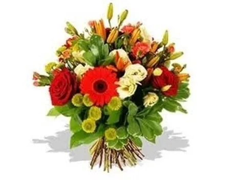 fiori laurea-4