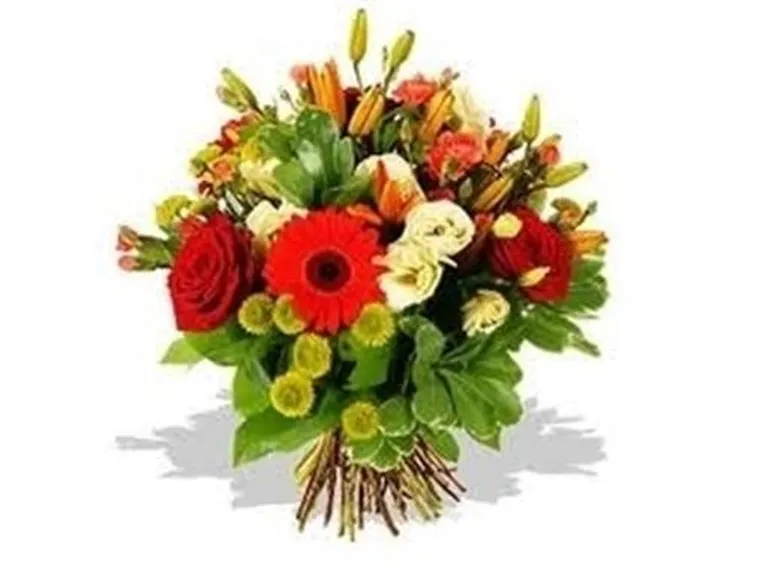 fiori laurea-4