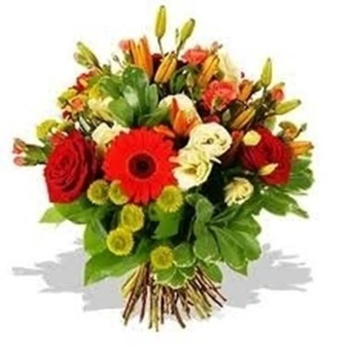 fiori laurea-4