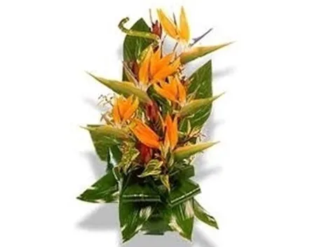 fiori onomastico-1