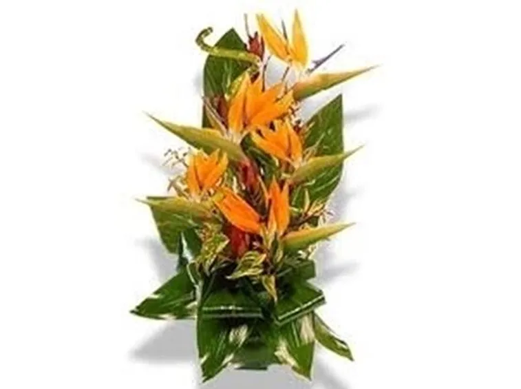fiori onomastico-1