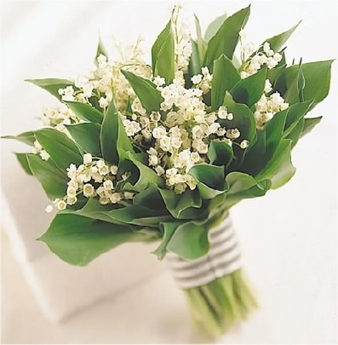 fiori ringraziamenti-9