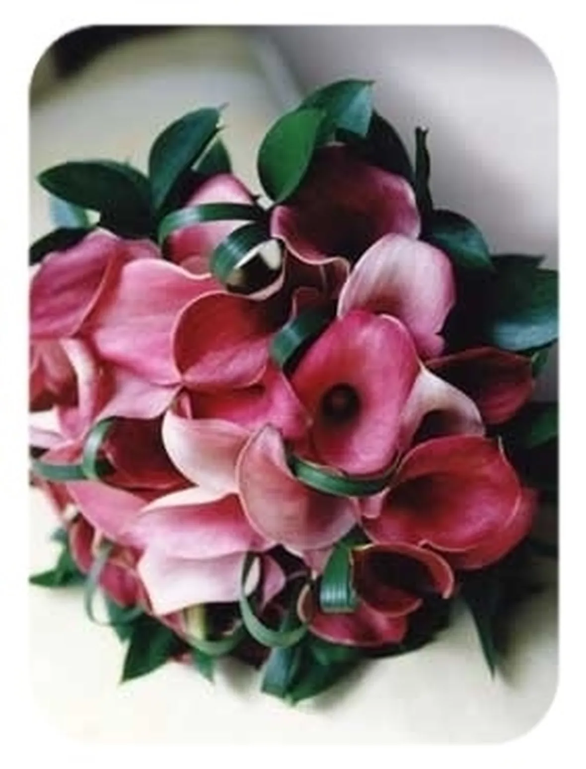 inviare fiori-9