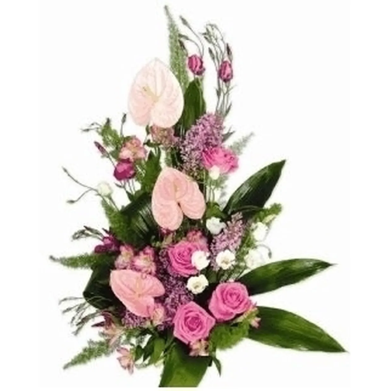 invio fiori-5