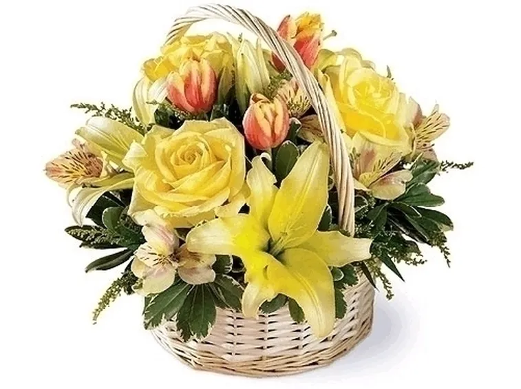 invio fiori-9
