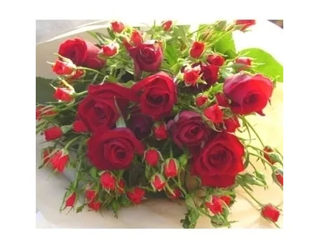 mazzo di fiori-9