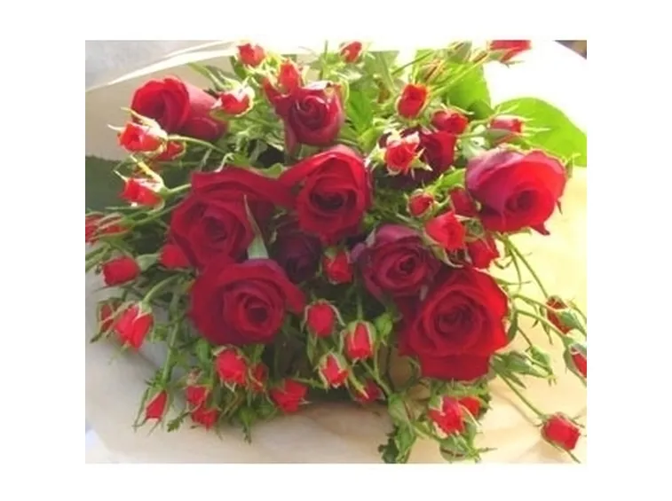 mazzo di fiori-9