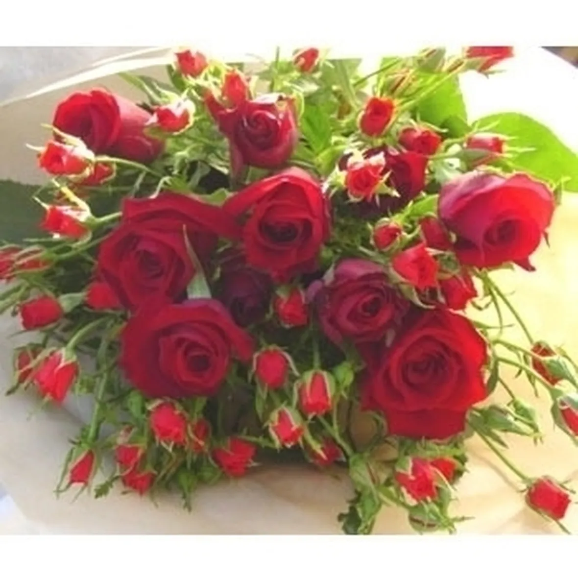 mazzo di fiori-9