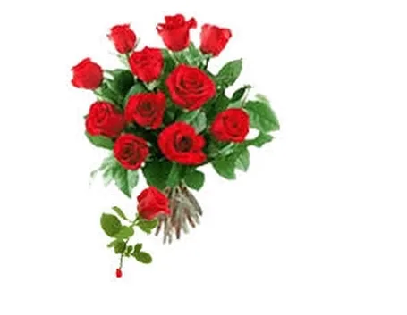 mazzo di rose-10