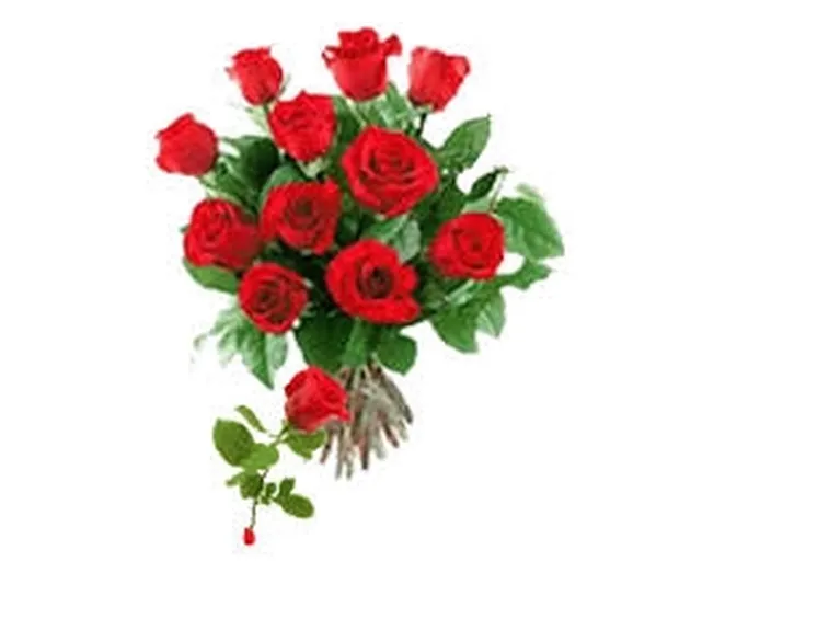 mazzo di rose-10