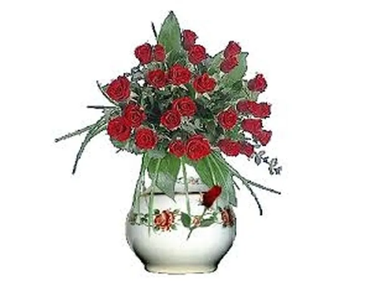 mazzo di rose-12