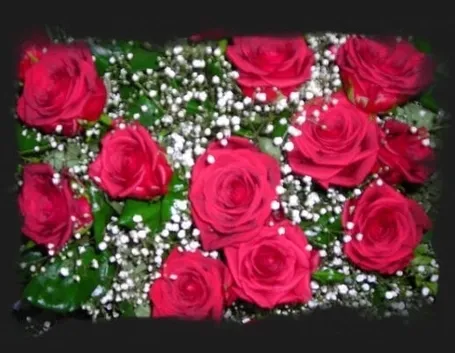 mazzo di rose-9