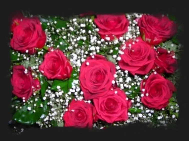 mazzo di rose-9