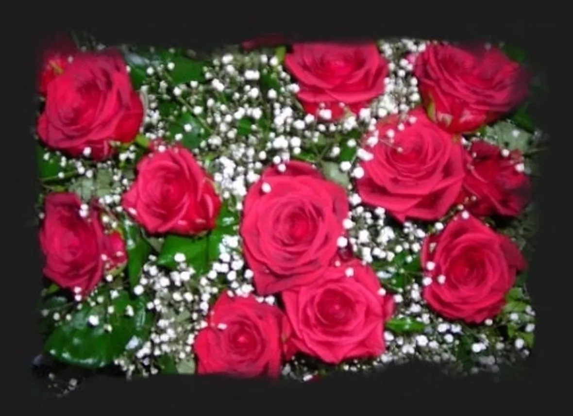 mazzo di rose-9