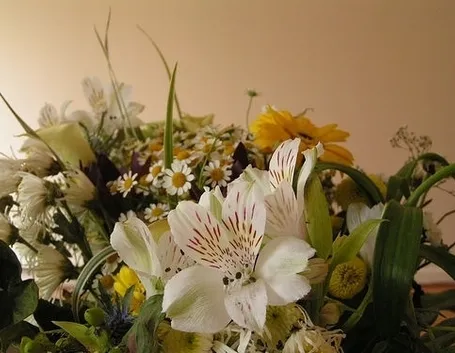 Quali fiori scegliere: naturali, secchi, freschi o artificiali