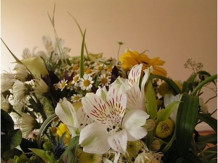Quali fiori scegliere: naturali, secchi, freschi o artificiali