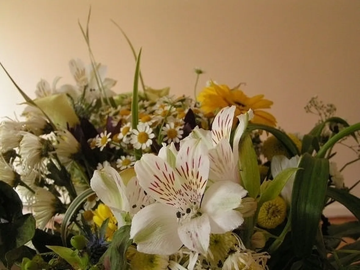 Quali fiori scegliere: naturali, secchi, freschi o artificiali