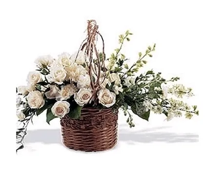 Sognare fiori