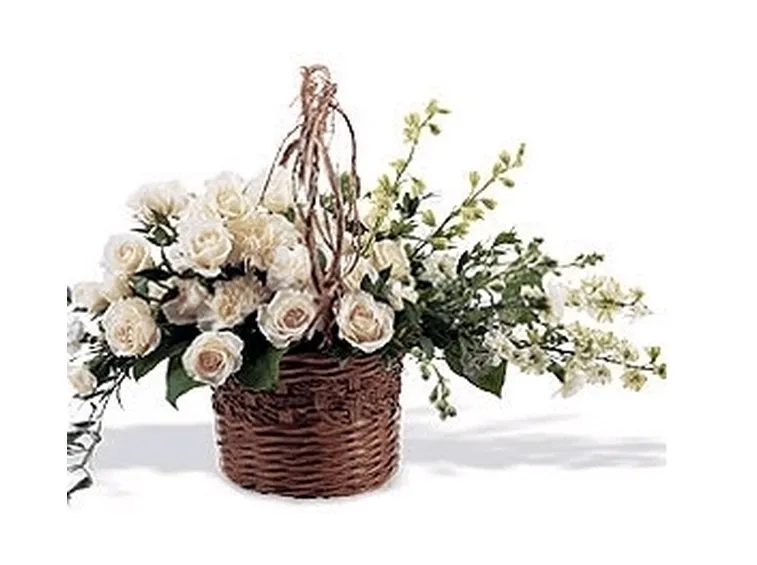 Sognare fiori