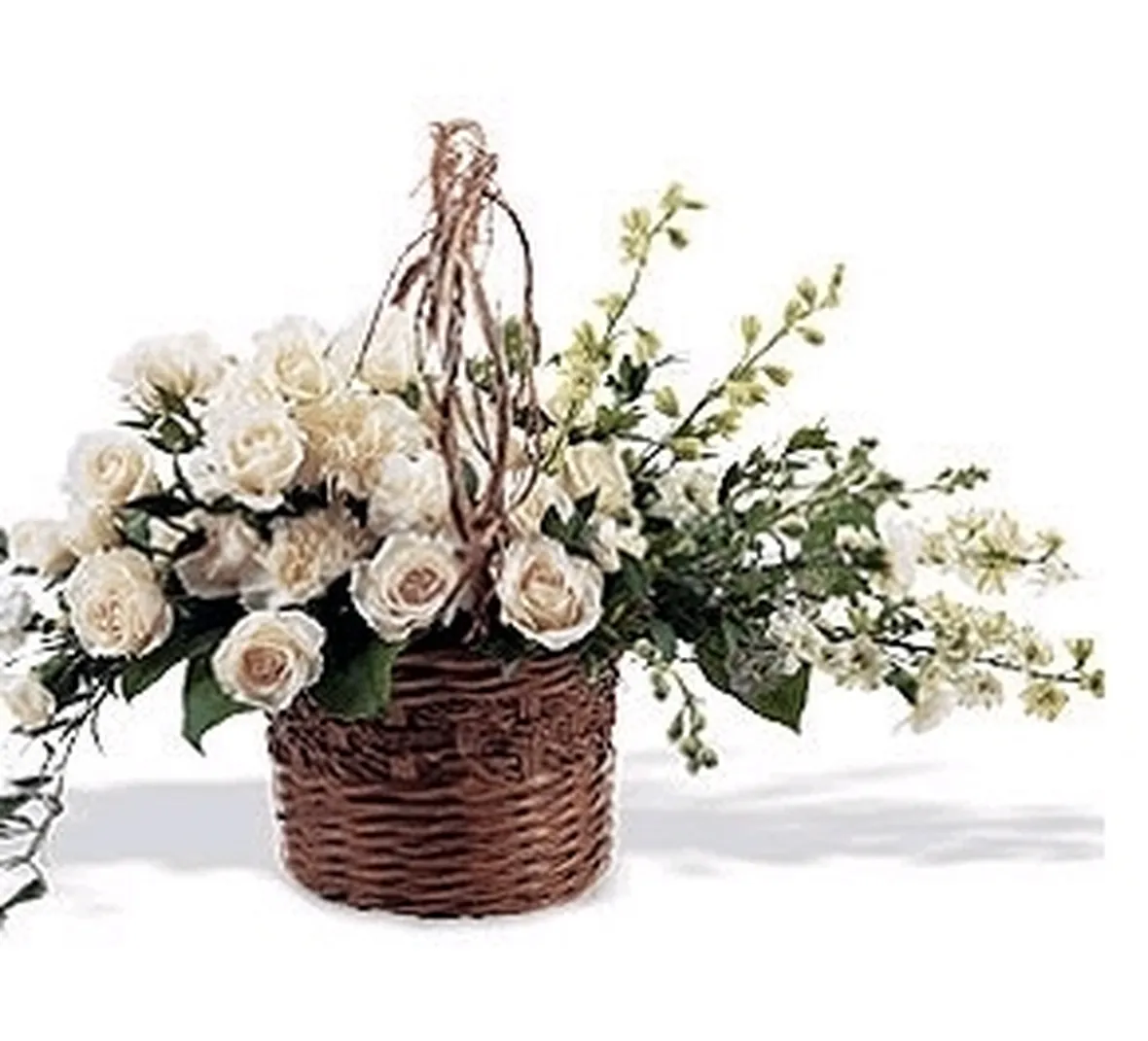 Sognare fiori