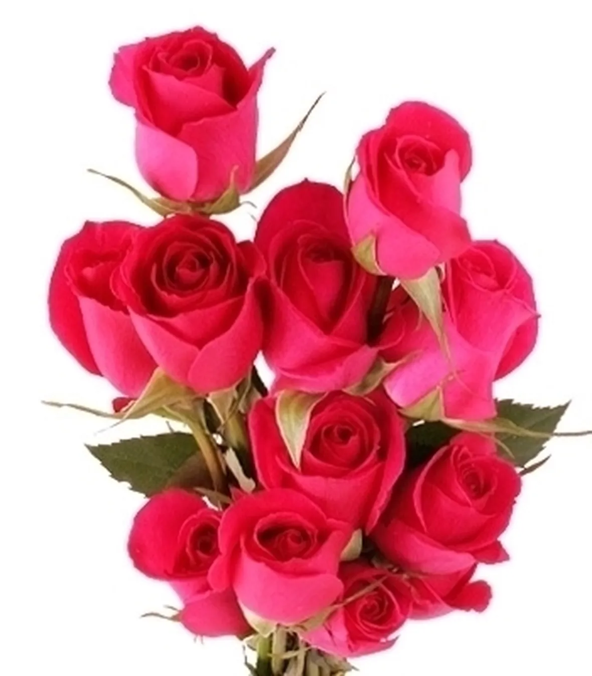 bouquet di rose rosse e bianche