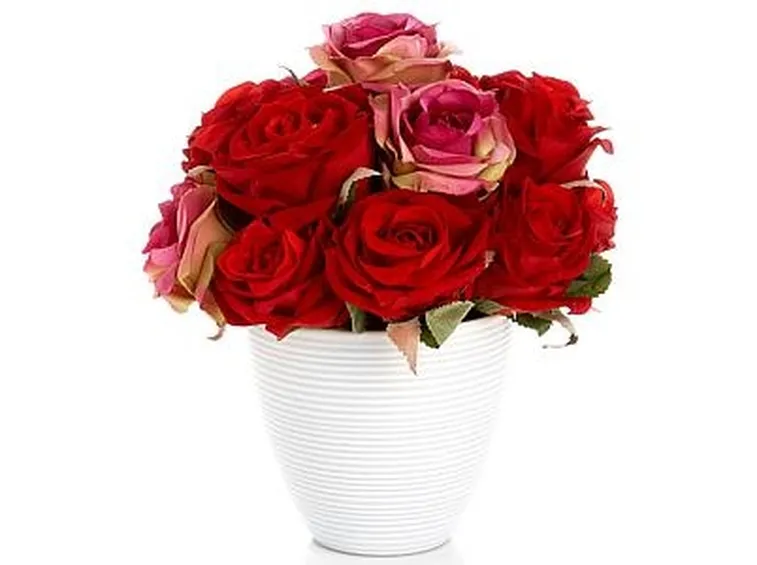 consegna mazzi di rose