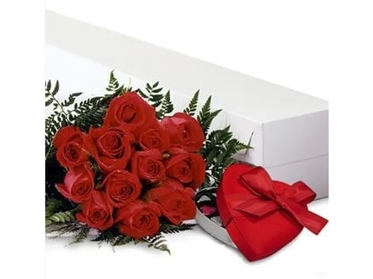 costo rosa rossa