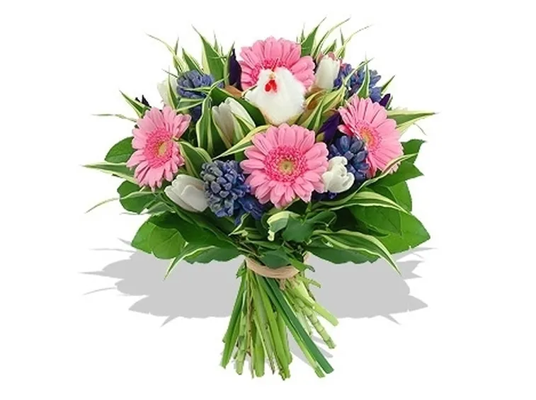 fiori rose rosse