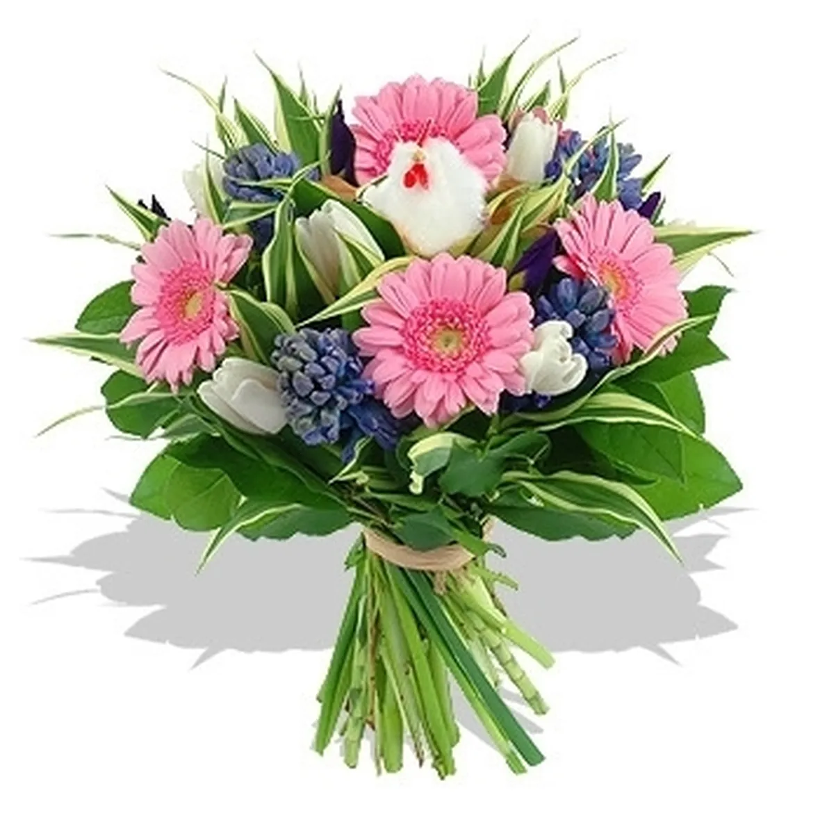 fiori rose rosse
