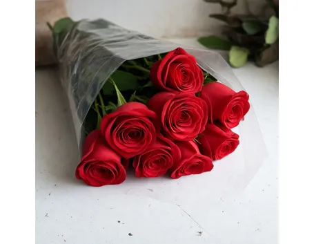 frasi rosa rossa