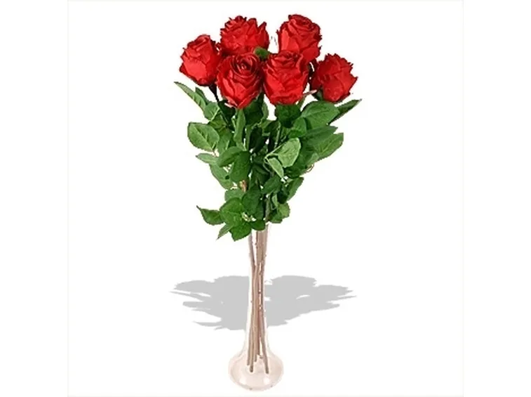 immagini mazzo di rose-1