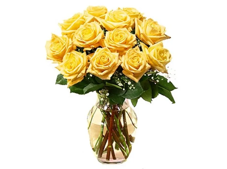 mazzi di rose gialle-1