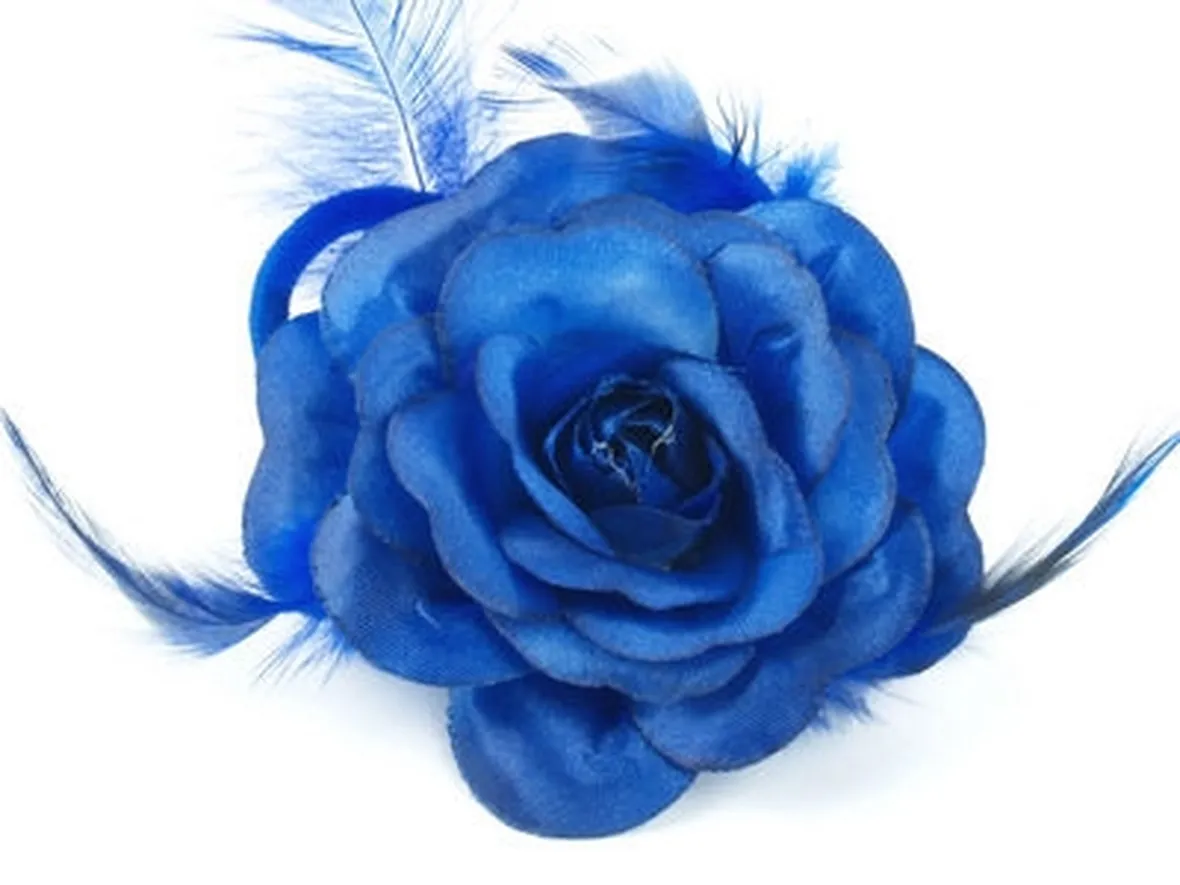 mazzi rose blu