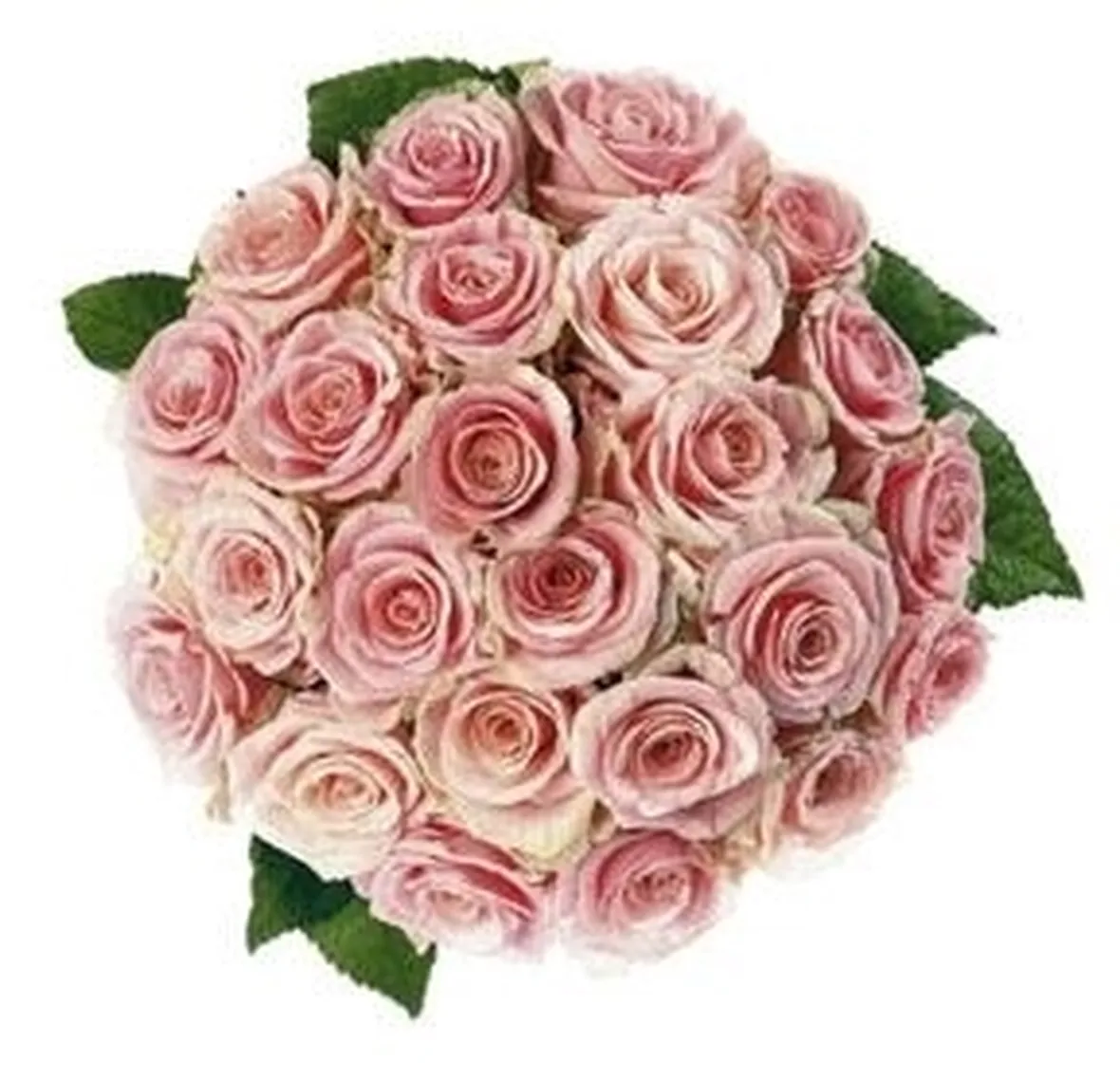 mazzi rose rosa-1