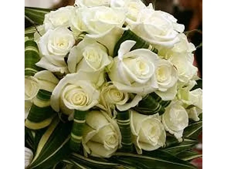 mazzo di rose bianche