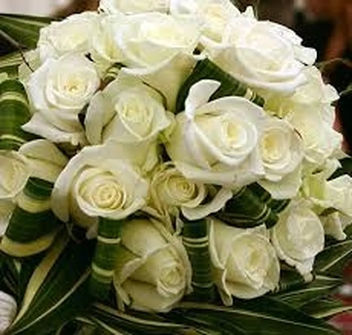 mazzo di rose bianche