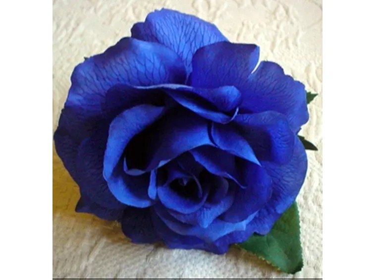 mazzo di rose blu